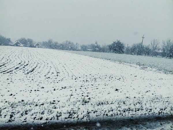 178850863_3906570269437565_5505110912076054710_n