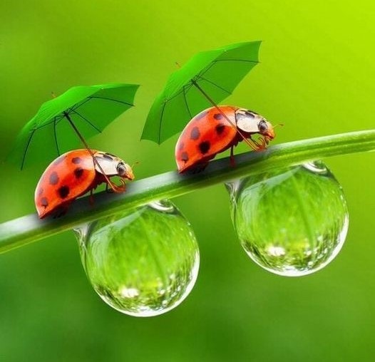 174112363_2840851056228800_4274417402610406750_n