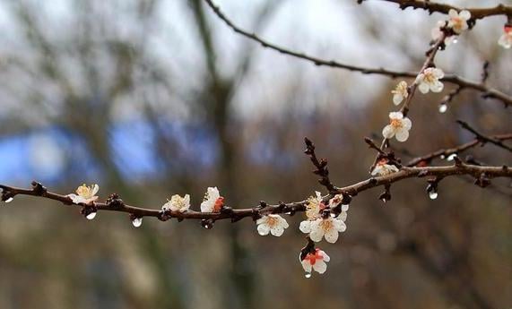 175868668_3886834951411097_7532538805039011899_n