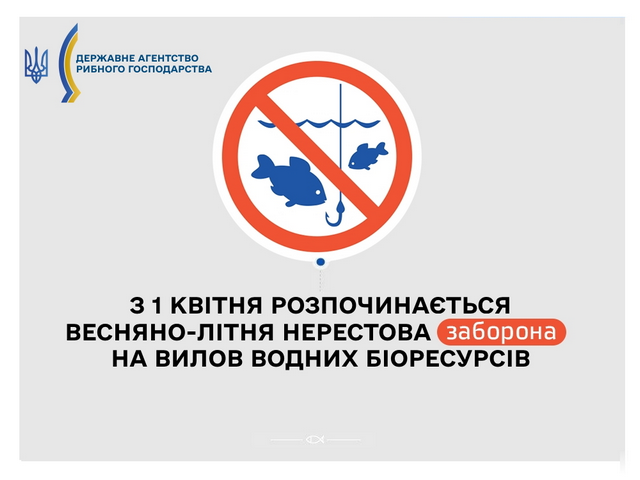 изображение_2021-04-01_162509