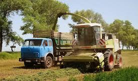 Де на Кам’янщині