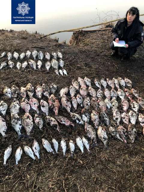 167975627_3805597712851610_1087493199852046285_n