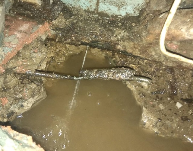 175909331_491546138699224_6101475538380567907_n