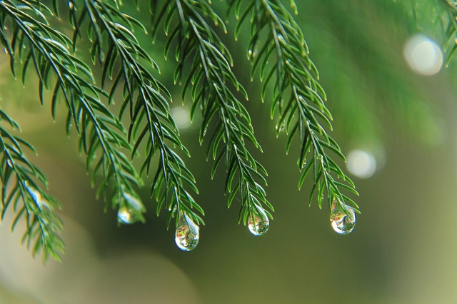 73f890111ba043127e8d7f2d7d29-1423701.jpg!d