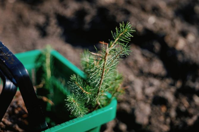 663050674_927427556568175_7950884732577034637_n