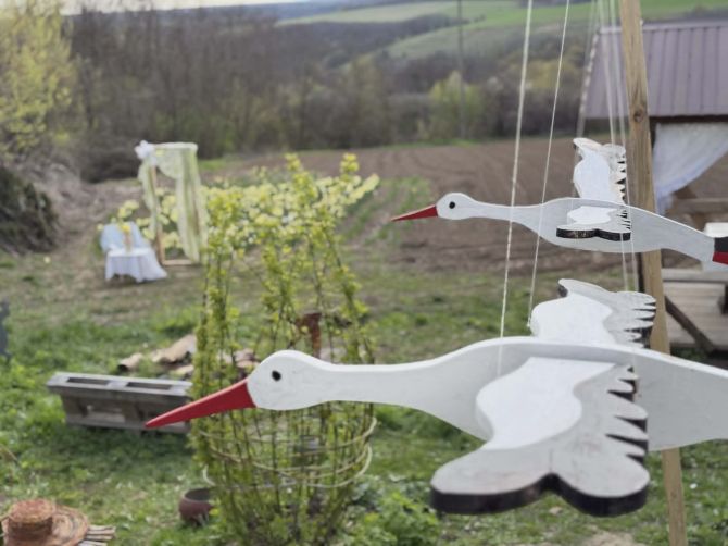 Без назви7654