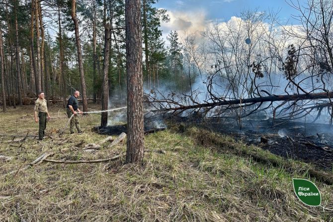 662485510_951621954500761_8685232476643742587_n