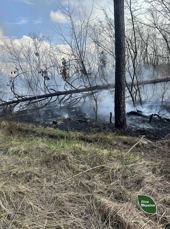 661470917_951622044500752_9010269531989544082_n