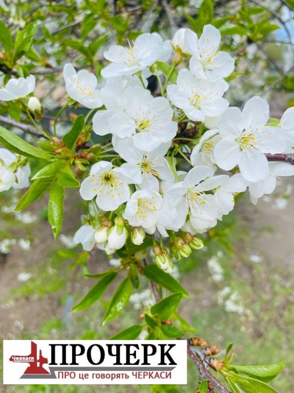 photo_2026-04-29_09-40-40