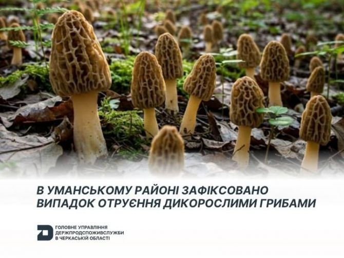 684897388_1355014259990514_4658911029174740478_n