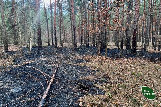 662336511_951622014500755_7325644463554303447_n