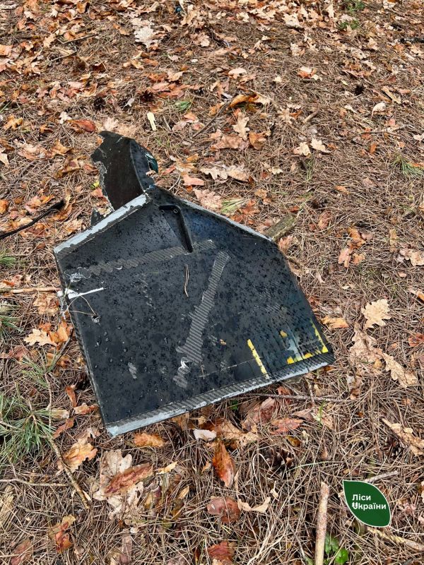 662309200_951622081167415_5872351225628657567_n