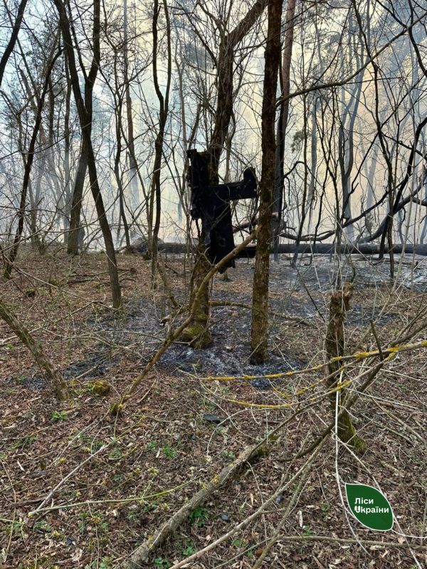 661666271_951621981167425_4519111555168369546_n