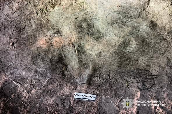 672681295_1439916394846311_1844860388383503261_n