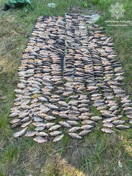 683391033_1392149722957324_5956588449490108637_n