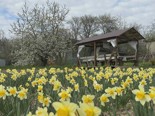 Без назви421