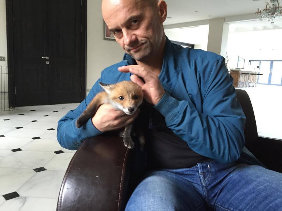 13433187_1196341897077164_6254093796543781843_o