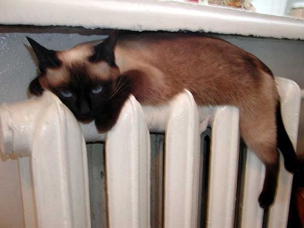 4c6945795782ff604b08649e2a5e91c78204f4e4