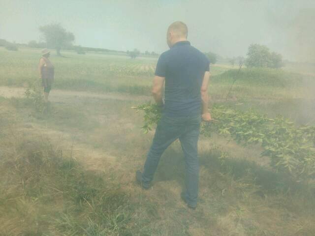 18839350_10210178474763708_7009053066603647560_n