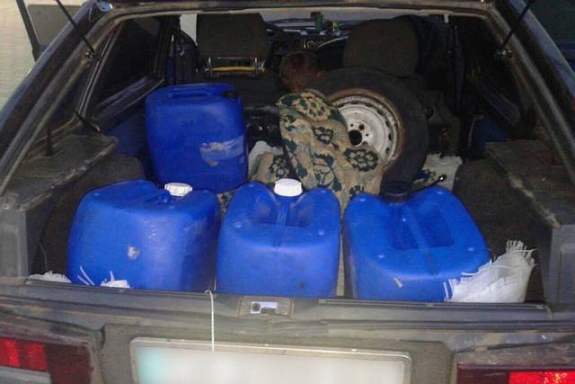 18767722_1216682941775921_7213211692416445030_n