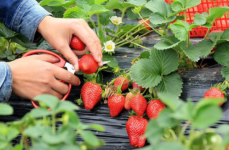 33024527_1710551162372831_4790515704874926080_n