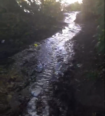 bezyimyannyij_png23erf_1