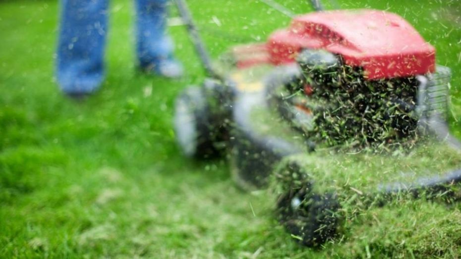 59426886_2088508914529583_8371860333374996480_n