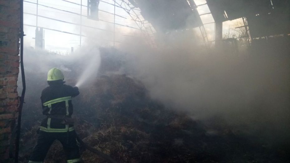 IMG-2a6e1fe5f41c4b56413c10f807327de7-V