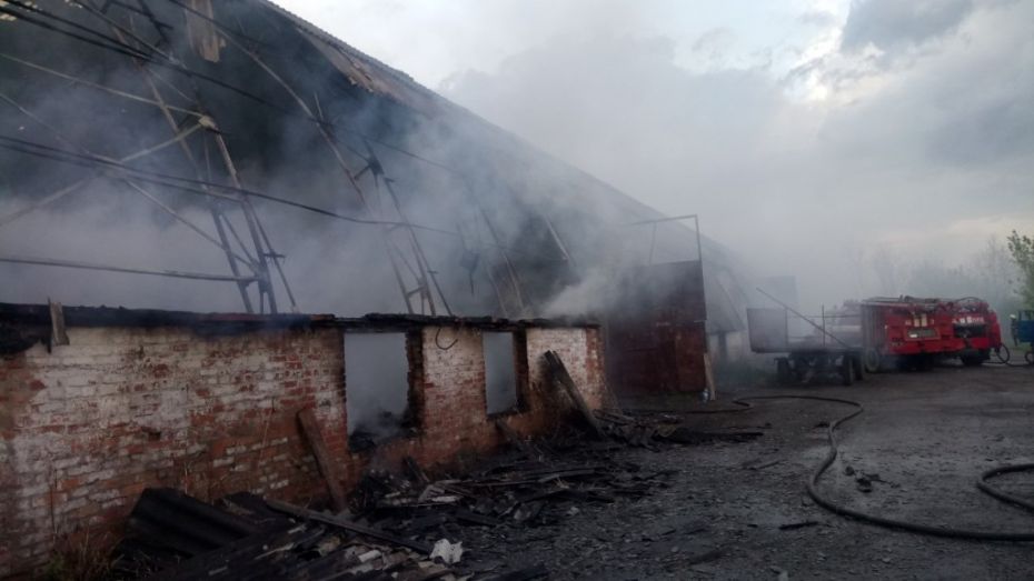 IMG-8960799beede520388e7c48c0691fe8e-V