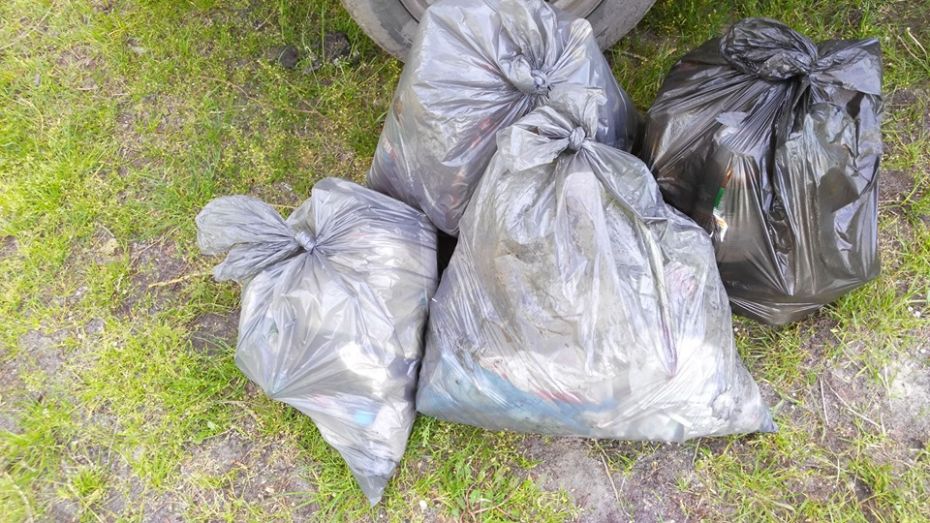 60319206_2231321070531260_8916479374966915072_n