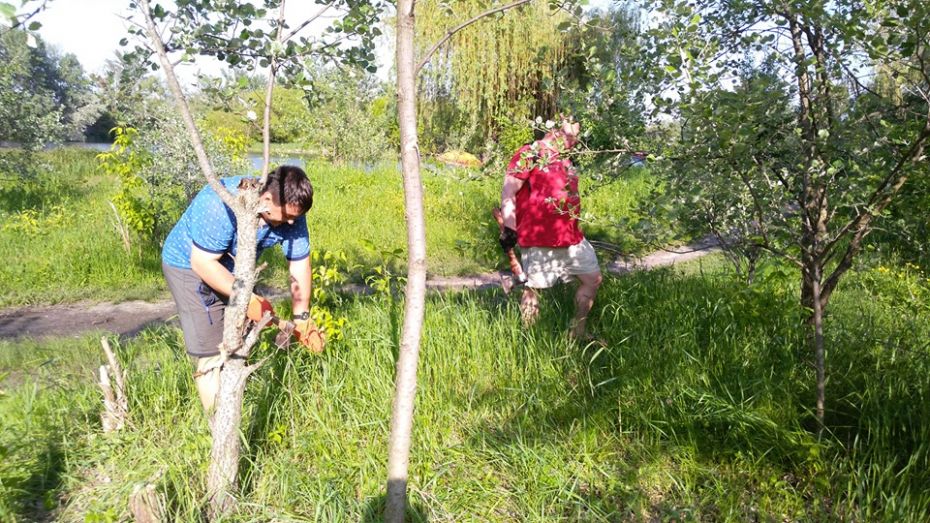 60337519_2231320803864620_3957880636064137216_n