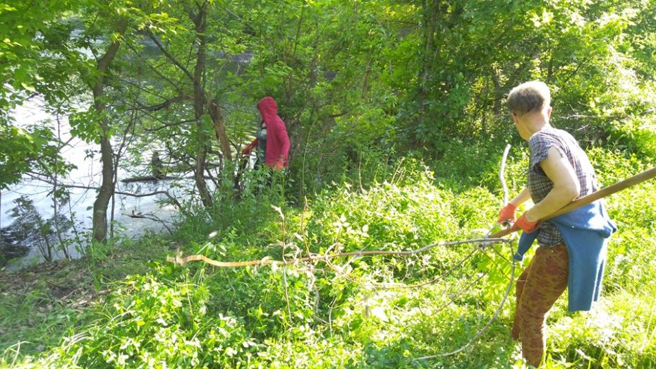 60484866_2231320867197947_5356163692327075840_n