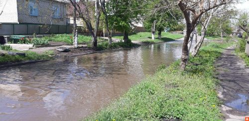 04052019100539074-500x243