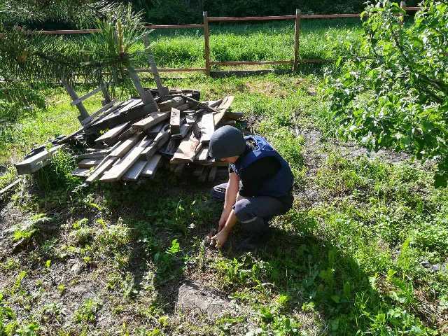 60959900_2247259005310728_3541597716947664896_o