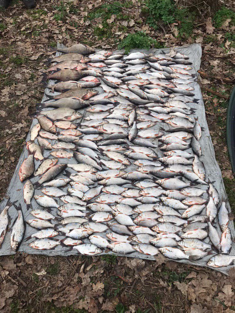 photo_2019-05-03_09-21-43