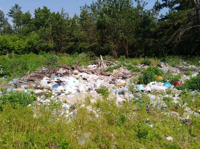 62045440_1045856228943591_4154391040716963840_o