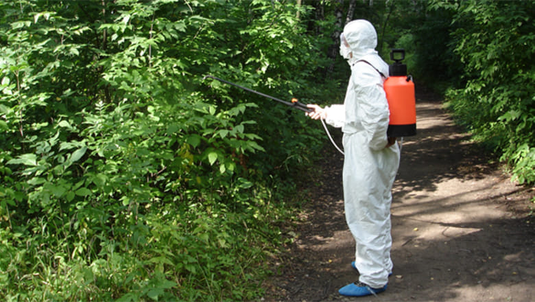 60717959_2115962888450852_1592918041971130368_n