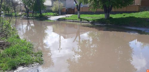 04052019100539451-500x243