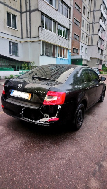 60338566_2226650790704883_7871969021074079744_n