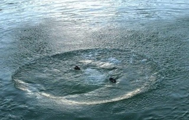 1531897022_utoplenyk-890x395