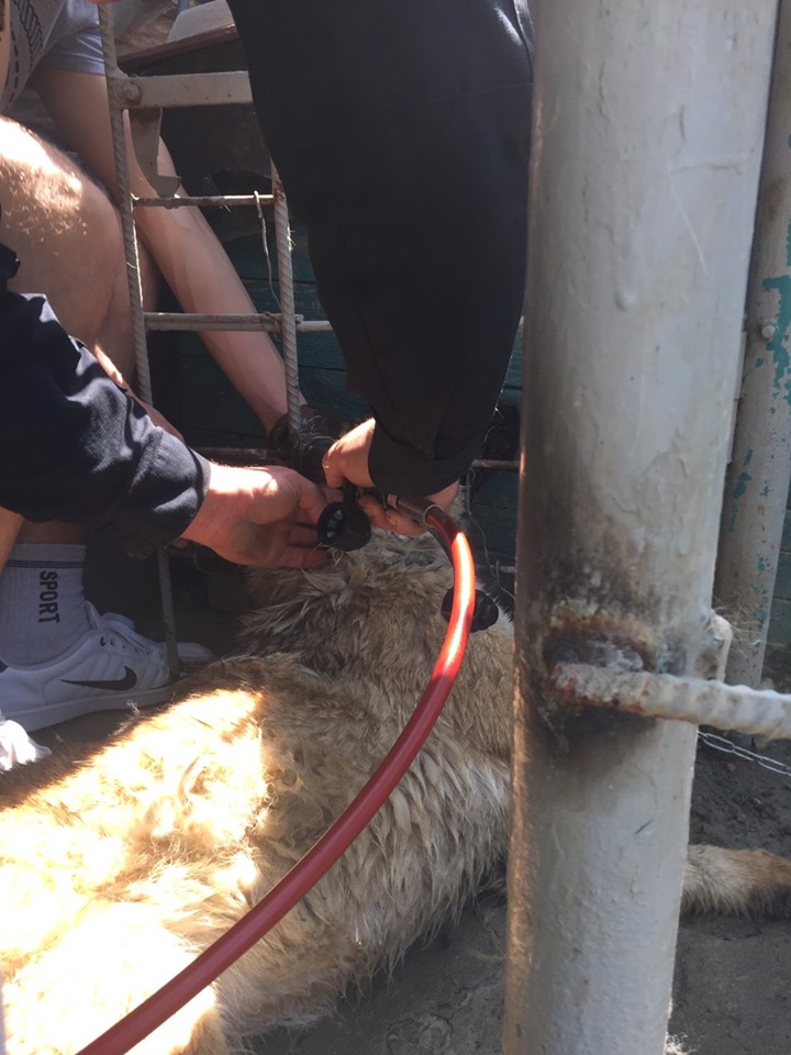 60583972_2243713422331953_5274669097362128896_n