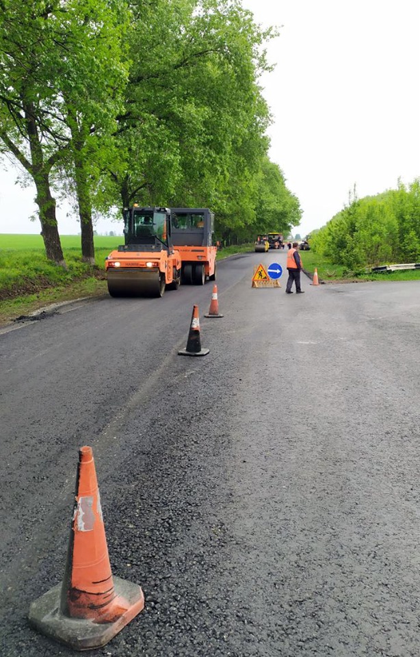 60724802_384851505450924_6787527145049554944_n