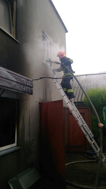 59915738_1520763631391379_8652304401970495488_n