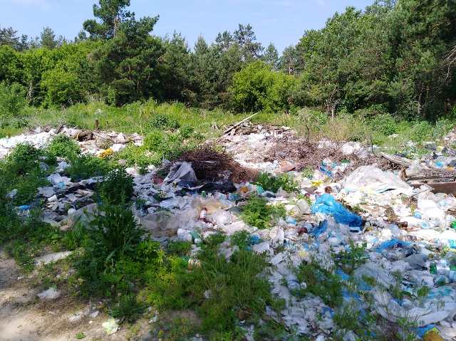 62137814_1045856208943593_4029861865583542272_o