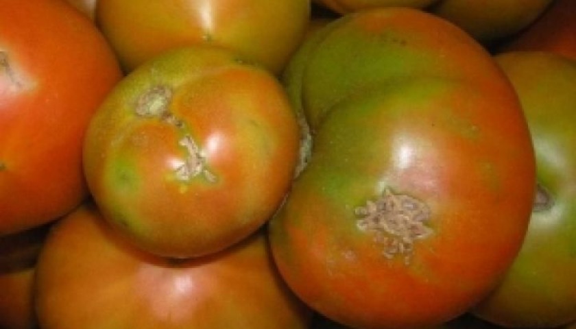 imgonline-com-ua-Resize-Pit0xXiOdzqwXewo