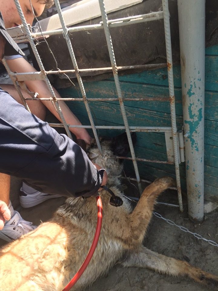 60927470_2243713432331952_3667994906502103040_n