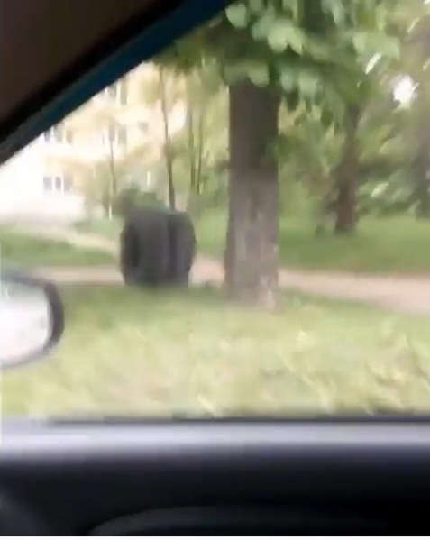 9812_800x600_kanev09133