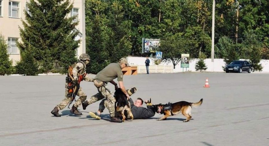 photo_2021-05-24_17-36-43