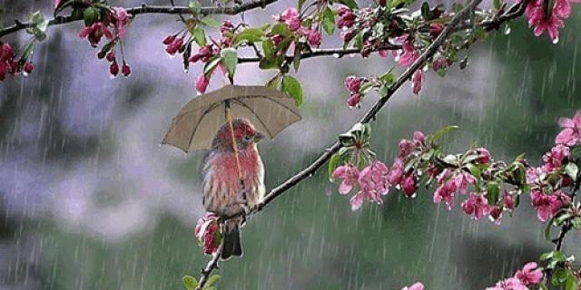 183187762_3931607176933874_2205362634181591584_n