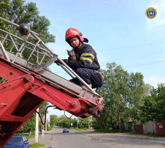 192220055_4055316064505004_4913692768850557137_n